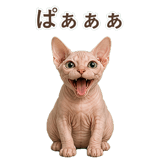 852348826