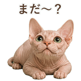 852348828
