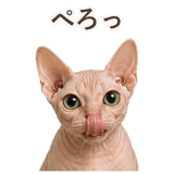 852348829