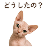 852348830