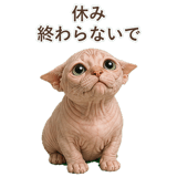 852348833