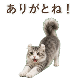 852348929