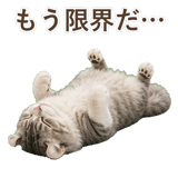 852348933