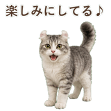 852348935