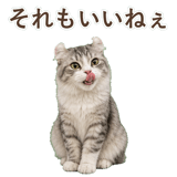 852348937