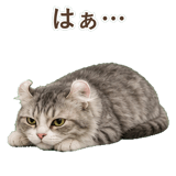 852348938