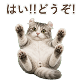 852348941