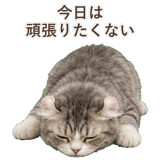 852348942