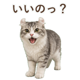 852348943