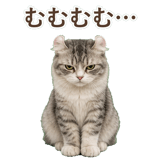 852348946