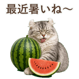 852348950