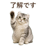 852348955