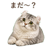 852348956