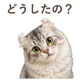 852348958