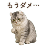 852348964