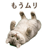 852348966