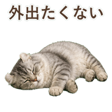 852348967