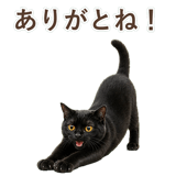 852349609