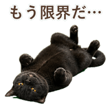 852349613