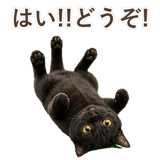 852349621