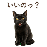 852349623