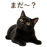 852349636