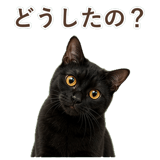 852349638