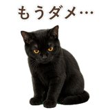 852349644