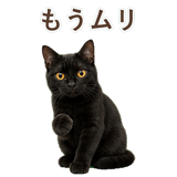 852349646
