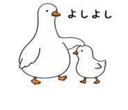 852350300