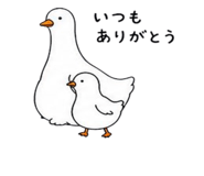 852350302