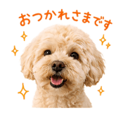 852350655