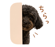 852350663