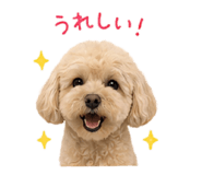 852350667