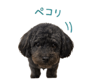 852350669