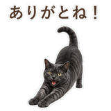 852350777