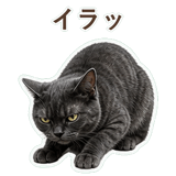 852350778