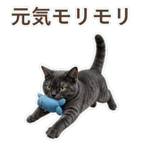 852350780