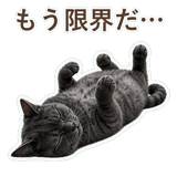 852350781