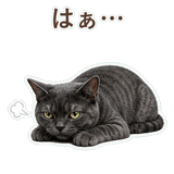 852350786