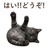 852350789