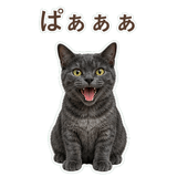 852350802