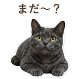 852350804