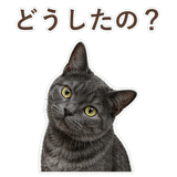 852350806