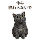 852350809