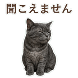 852350811