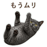 852350814