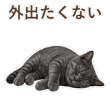 852350815
