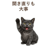 852350816