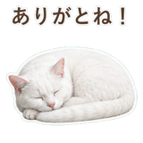 852350817